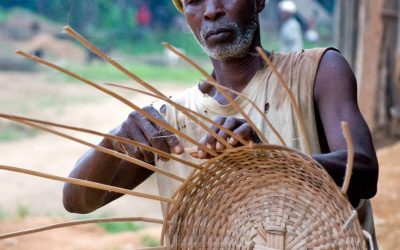 Proin Eu Augue Efficitur